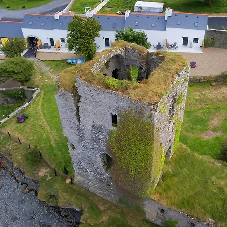 Shannon Castle - Type D By Trident Homes Feriehus Ballysteen